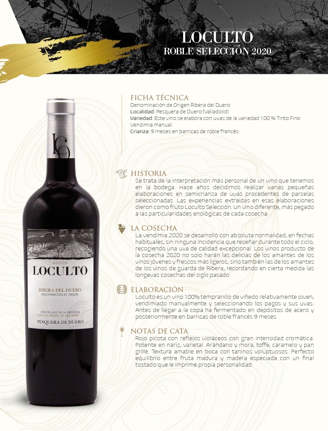 LOCULTO 9 MESES ROBLE SELECCIÓN - 12 BOTELLAS