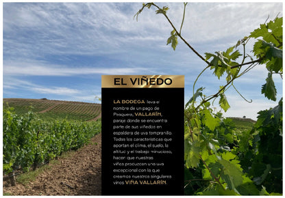VALLARIN TINTO 6M - 12 BOTELLAS
